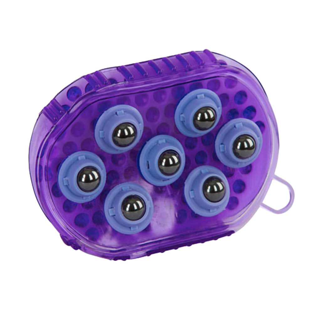 Borstel magneet massage