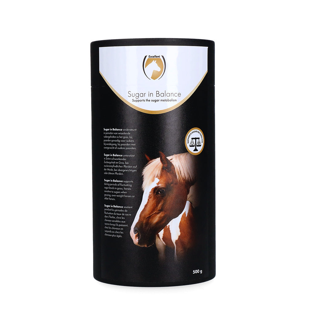 Excellent Horse Sugar in Balance