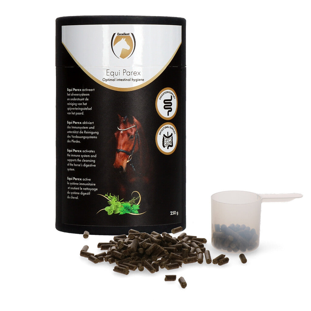 Excellent Horse Parex