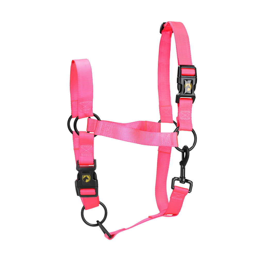 Excellent Essential Halster