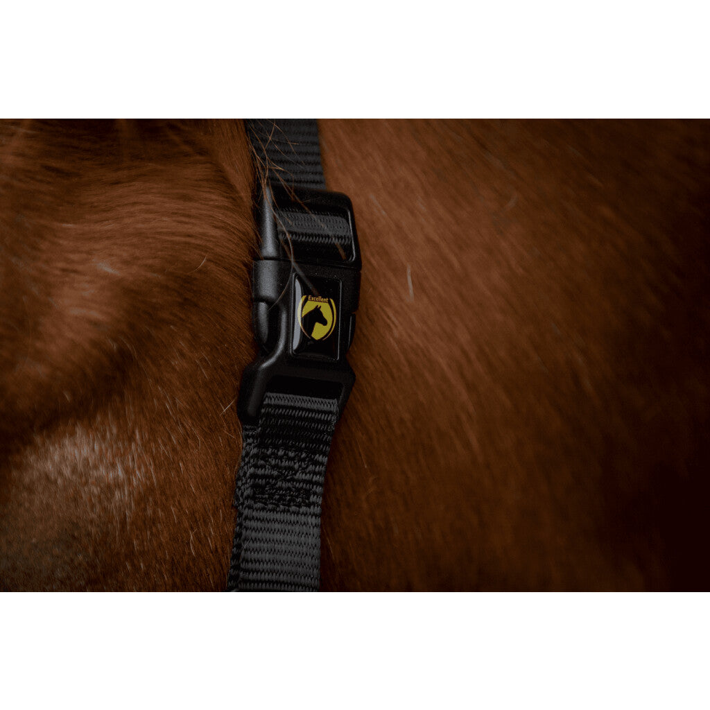 Excellent Premium Halster