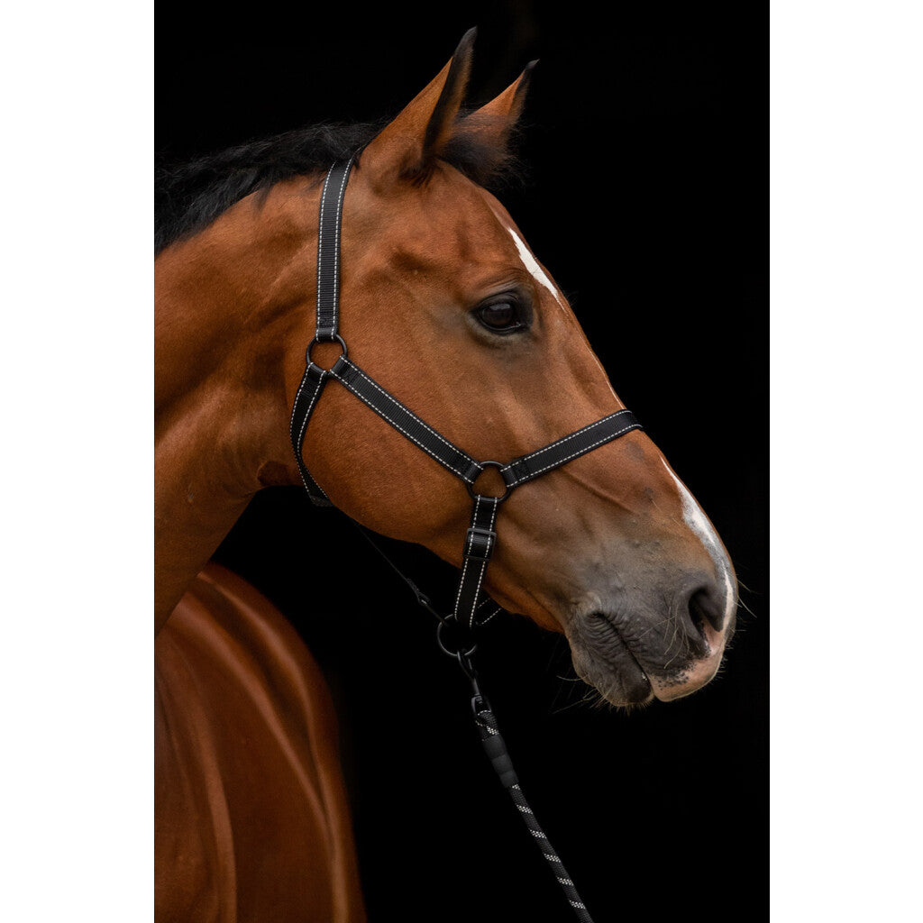 Excellent Premium Halster