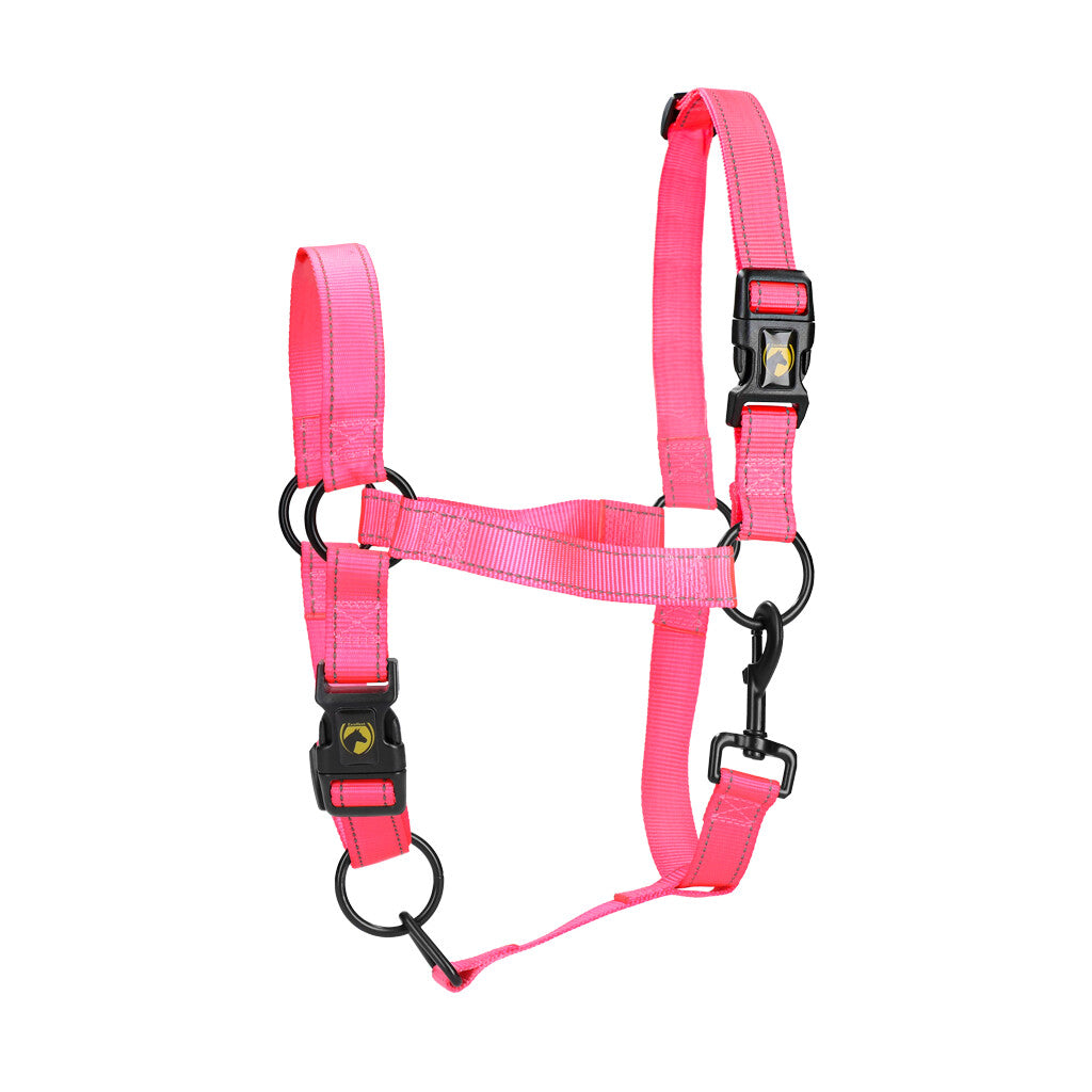 Excellent Premium Halster