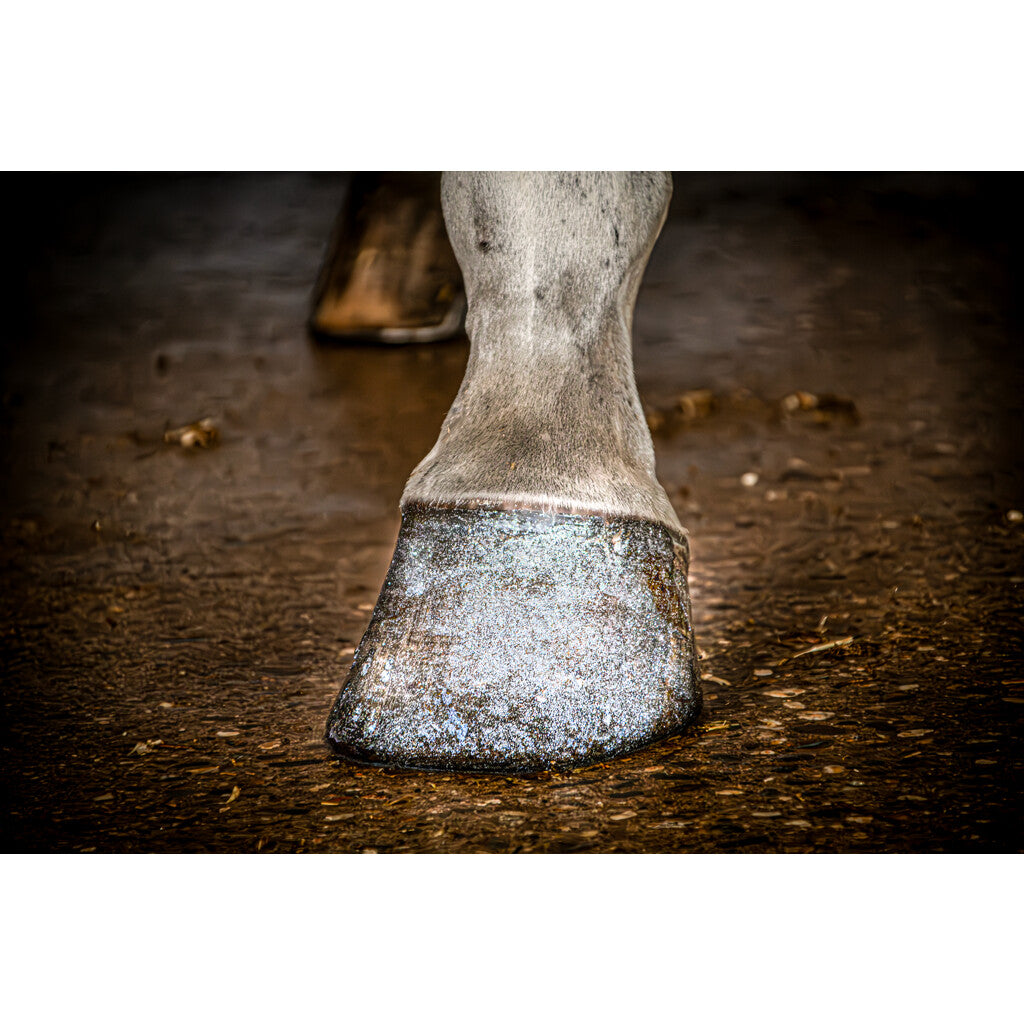 Excellent Horse Hi Gloss Glitter Hoof Polish 150 ml