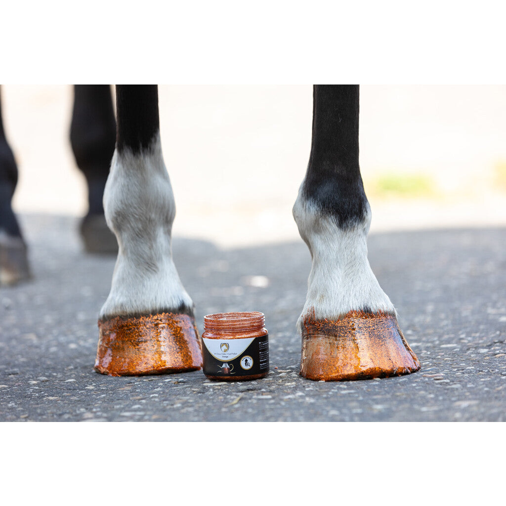 Excellent Horse Hi Gloss Glitter Hoof Polish 150 ml