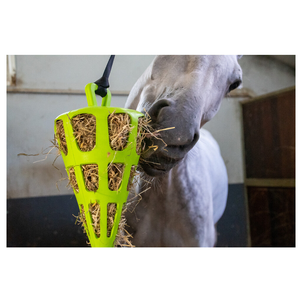 Hay Slow Feeder Fun & Flex Carrot