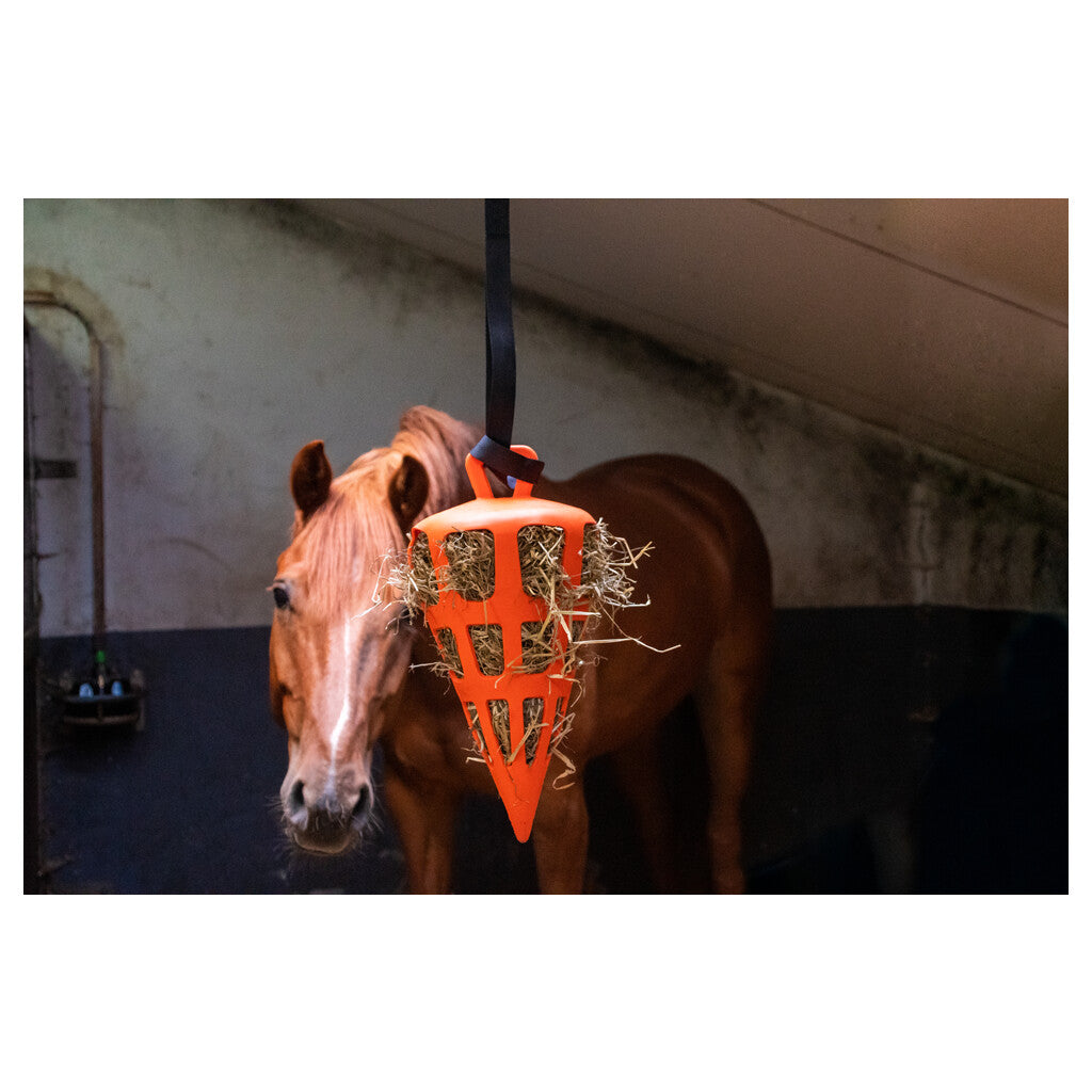 Hay Slow Feeder Fun & Flex Carrot