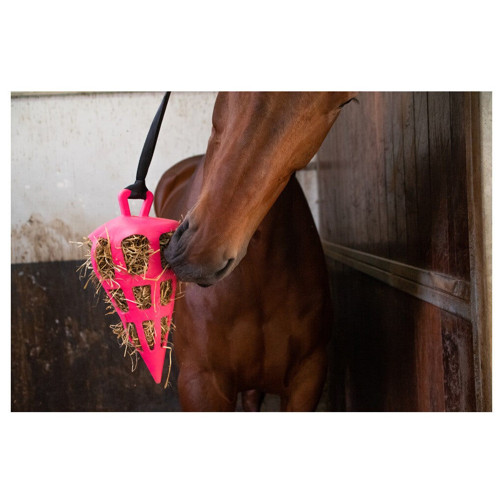 Hay Slow Feeder Fun & Flex Carrot